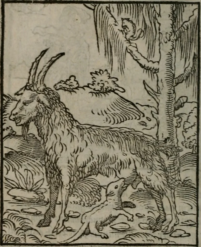 An illustration from Clarissimi Viri D. Andreae Alciati Emblematum libellus : vigilanter recognitus, & ab ipso iam authore locupletatus, 1542, leaf 97