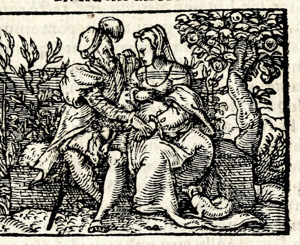 An illustration from Clarissimi viri D. And. Alciati Emblemat. lib. II, aucti & restituti, 1580, leaf 111