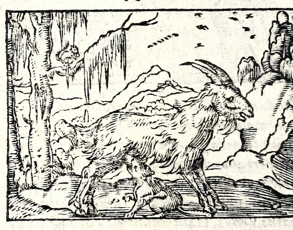 An illustration from Clarissimi viri D. And. Alciati Emblemat. lib. II, aucti & restituti, 1580, leaf 156