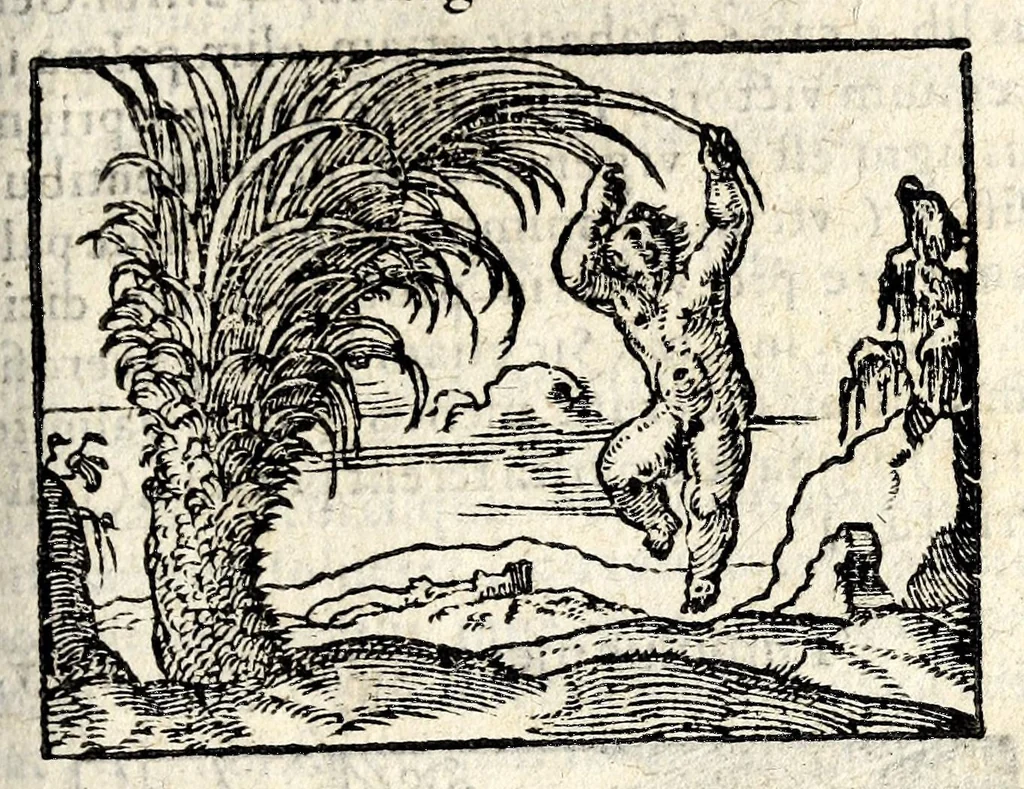 An illustration from Clarissimi viri D. And. Alciati Emblemat. lib. II, aucti & restituti, 1580, leaf 47