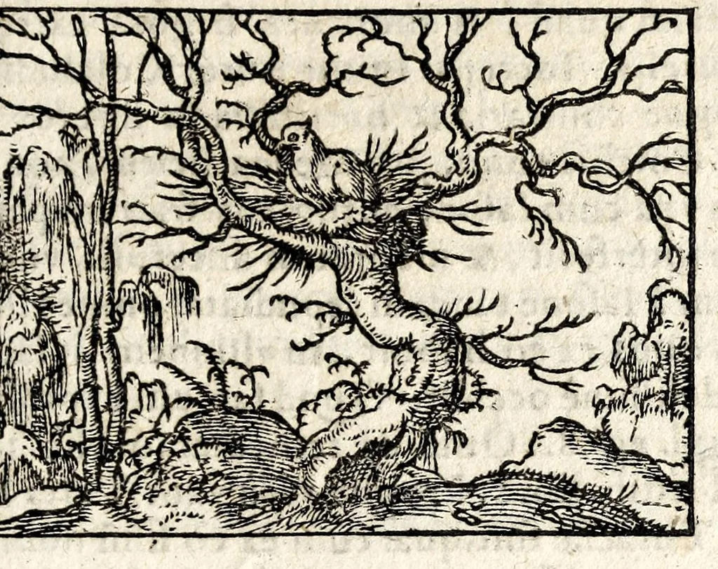 An illustration from Clarissimi viri D. And. Alciati Emblemat. lib. II, aucti & restituti, 1580, leaf 83