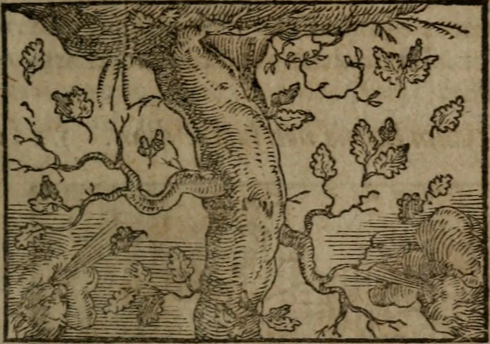 An illustration from Clariss. viri Dn. Andreae Alciati Emblematum libri duo : aucti & restituti, & perelegantibus figuris illustrati, cum succinctis commentariolis ..., 1639, leaf 102