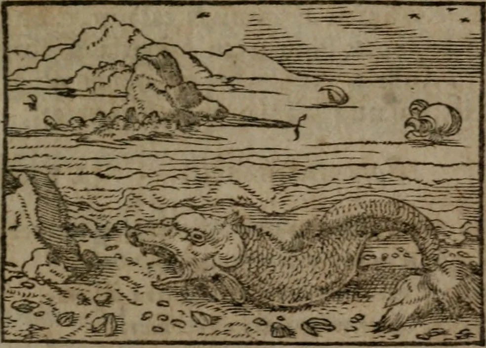 An illustration from Clariss. viri Dn. Andreae Alciati Emblematum libri duo : aucti & restituti, & perelegantibus figuris illustrati, cum succinctis commentariolis ..., 1639, leaf 130