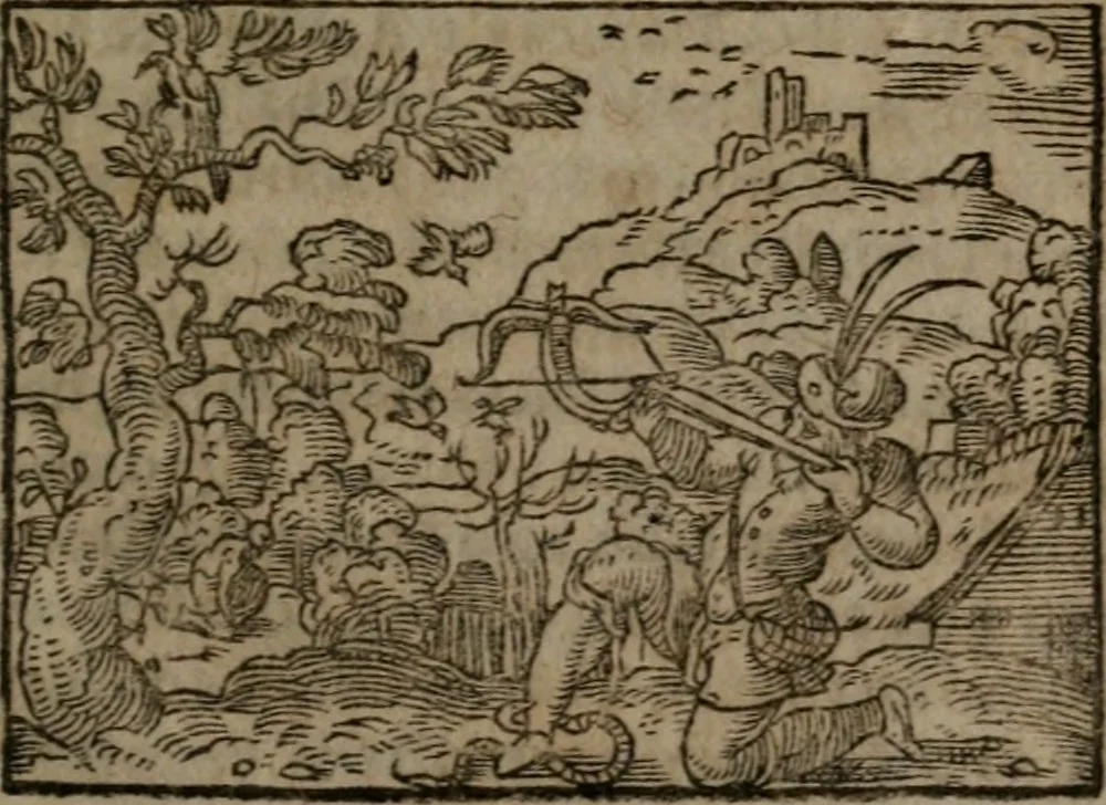 An illustration from Clariss. viri Dn. Andreae Alciati Emblematum libri duo : aucti & restituti, & perelegantibus figuris illustrati, cum succinctis commentariolis ..., 1639, leaf 142