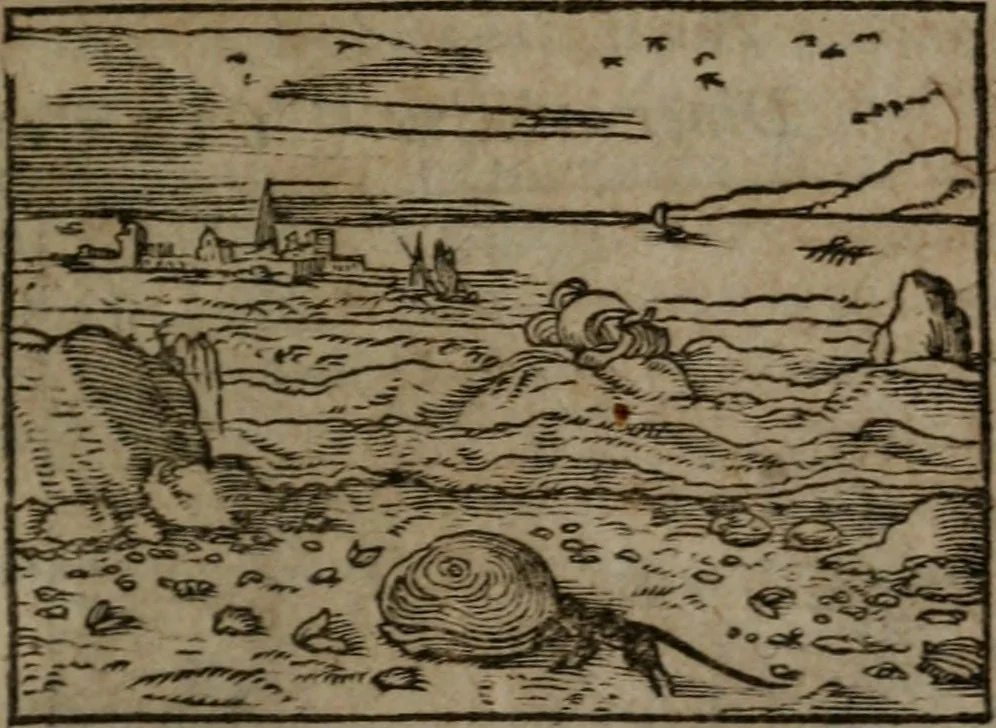 An illustration from Clariss. viri Dn. Andreae Alciati Emblematum libri duo : aucti & restituti, & perelegantibus figuris illustrati, cum succinctis commentariolis ..., 1639, leaf 146