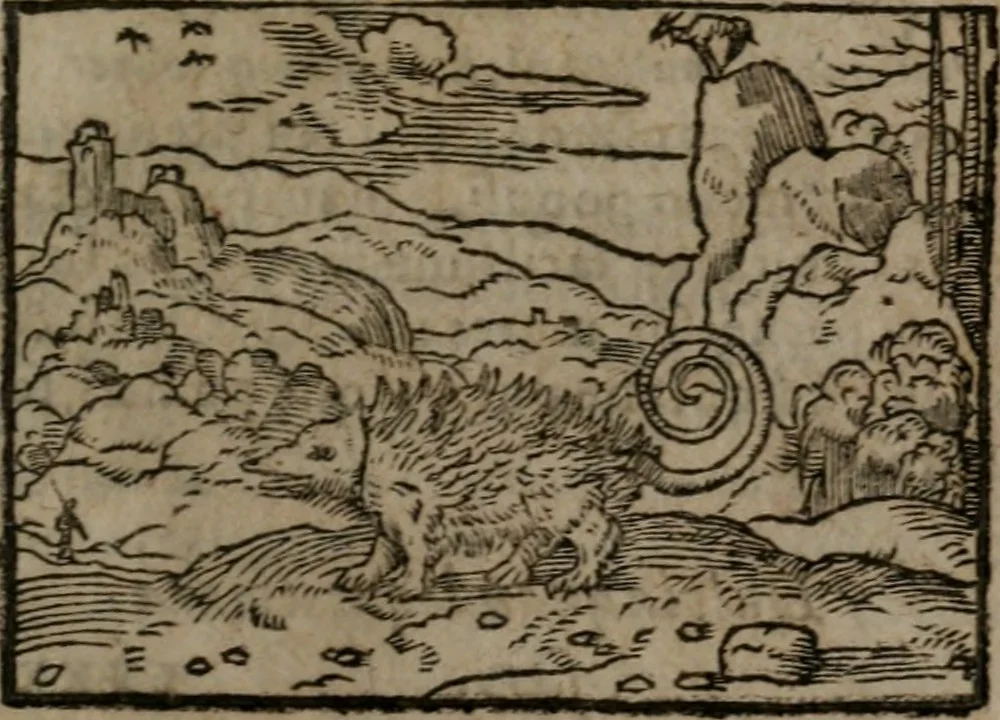 An illustration from Clariss. viri Dn. Andreae Alciati Emblematum libri duo : aucti & restituti, & perelegantibus figuris illustrati, cum succinctis commentariolis ..., 1639, leaf 148