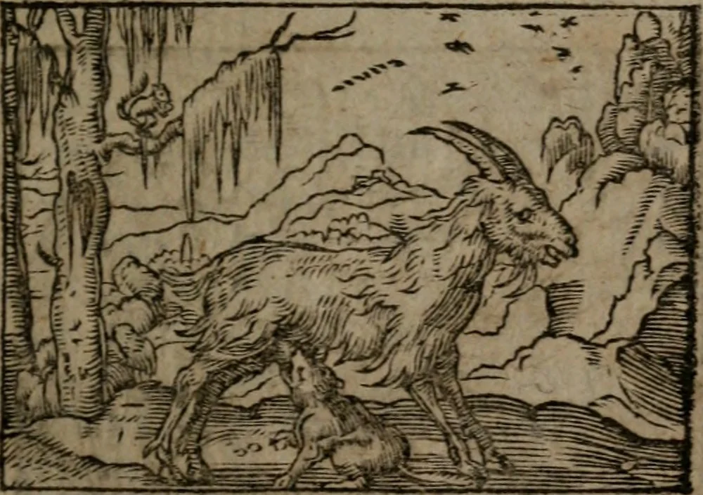 An illustration from Clariss. viri Dn. Andreae Alciati Emblematum libri duo : aucti & restituti, & perelegantibus figuris illustrati, cum succinctis commentariolis ..., 1639, leaf 152