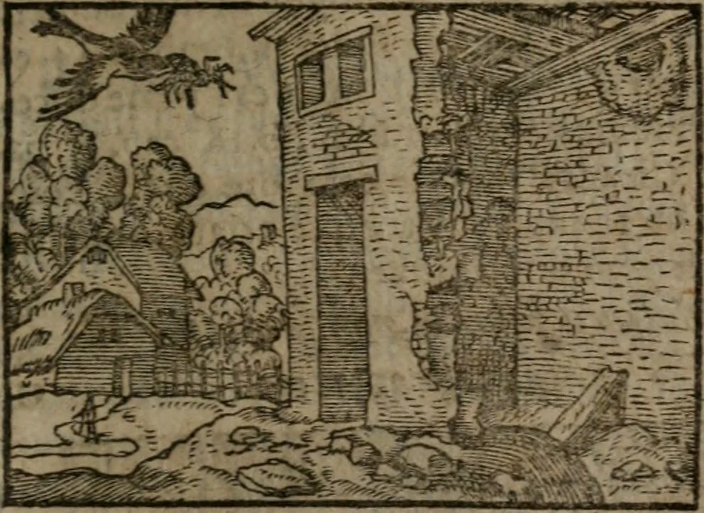 An illustration from Clariss. viri Dn. Andreae Alciati Emblematum libri duo : aucti & restituti, & perelegantibus figuris illustrati, cum succinctis commentariolis ..., 1639, leaf 166