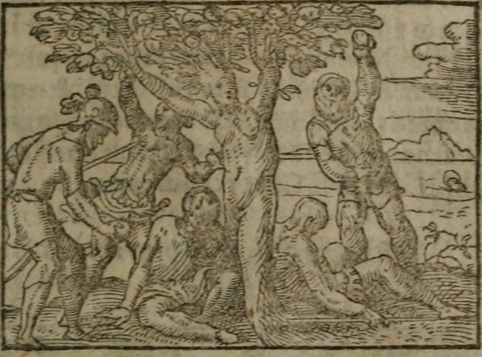 An illustration from Clariss. viri Dn. Andreae Alciati Emblematum libri duo : aucti & restituti, & perelegantibus figuris illustrati, cum succinctis commentariolis ..., 1639, leaf 182