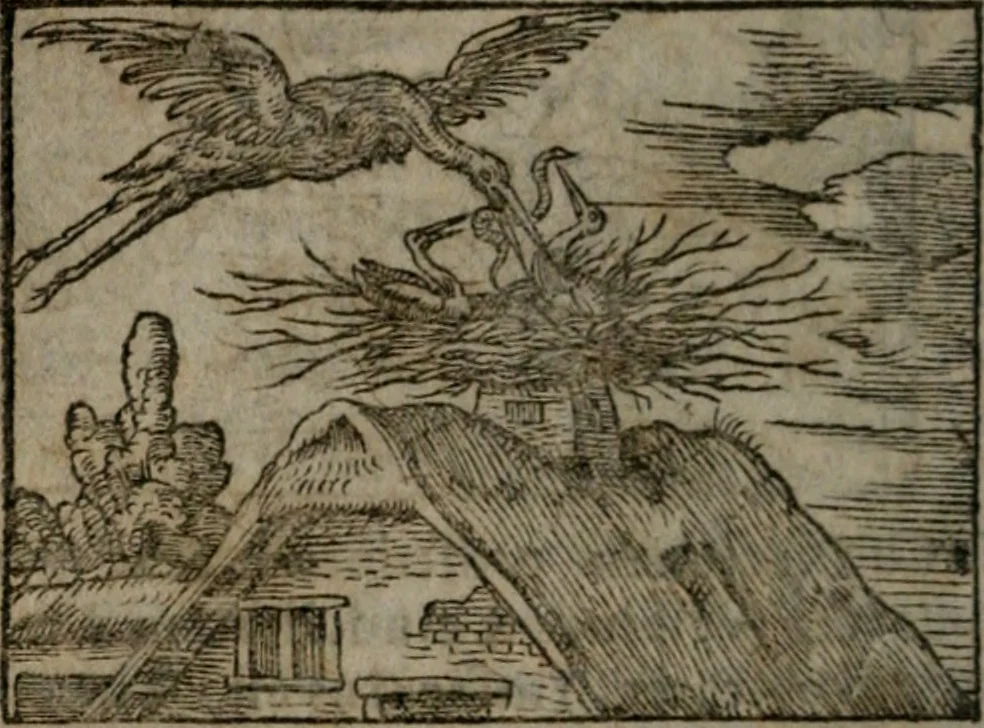 An illustration from Clariss. viri Dn. Andreae Alciati Emblematum libri duo : aucti & restituti, & perelegantibus figuris illustrati, cum succinctis commentariolis ..., 1639, leaf 27