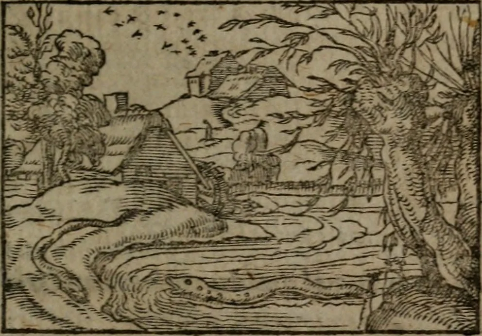 An illustration from Clariss. viri Dn. Andreae Alciati Emblematum libri duo : aucti & restituti, & perelegantibus figuris illustrati, cum succinctis commentariolis ..., 1639, leaf 34