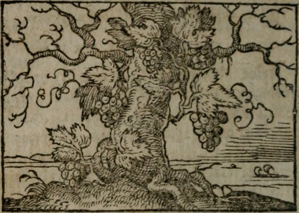 An illustration from Clariss. viri Dn. Andreae Alciati Emblematum libri duo : aucti & restituti, & perelegantibus figuris illustrati, cum succinctis commentariolis ..., 1639, leaf 37
