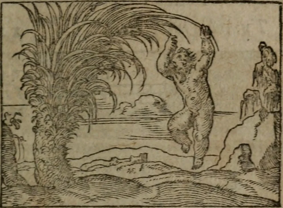 An illustration from Clariss. viri Dn. Andreae Alciati Emblematum libri duo : aucti & restituti, & perelegantibus figuris illustrati, cum succinctis commentariolis ..., 1639, leaf 54