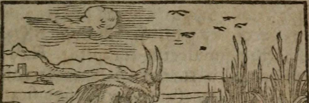 An illustration from Clariss. viri Dn. Andreae Alciati Emblematum libri duo : aucti & restituti, & perelegantibus figuris illustrati, cum succinctis commentariolis ..., 1639, leaf 60