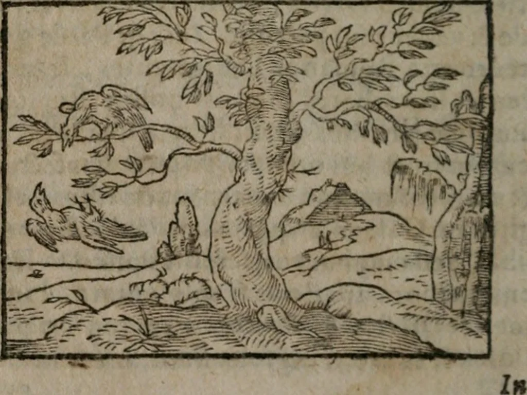 An illustration from Clariss. viri Dn. Andreae Alciati Emblematum libri duo : aucti & restituti, & perelegantibus figuris illustrati, cum succinctis commentariolis ..., 1639, leaf 63
