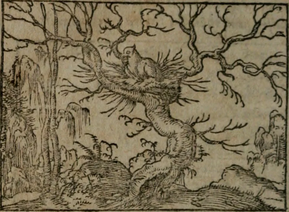 An illustration from Clariss. viri Dn. Andreae Alciati Emblematum libri duo : aucti & restituti, & perelegantibus figuris illustrati, cum succinctis commentariolis ..., 1639, leaf 85