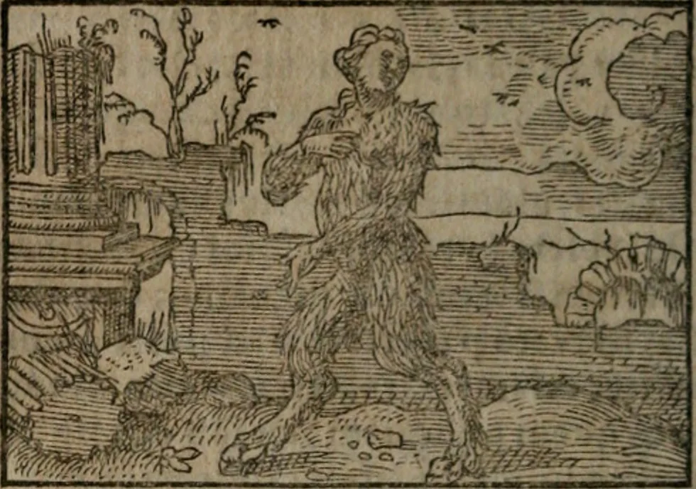 An illustration from Clariss. viri Dn. Andreae Alciati Emblematum libri duo : aucti & restituti, & perelegantibus figuris illustrati, cum succinctis commentariolis ..., 1639, leaf 89