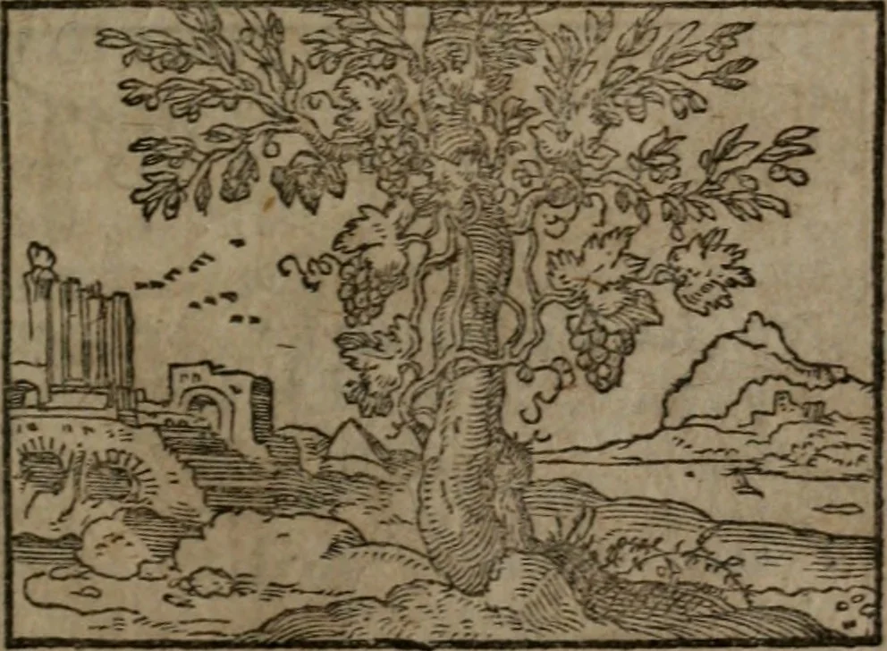 An illustration from Clariss. viri Dn. Andreae Alciati Emblematum libri duo : aucti & restituti, & perelegantibus figuris illustrati, cum succinctis commentariolis ..., 1639, leaf 94