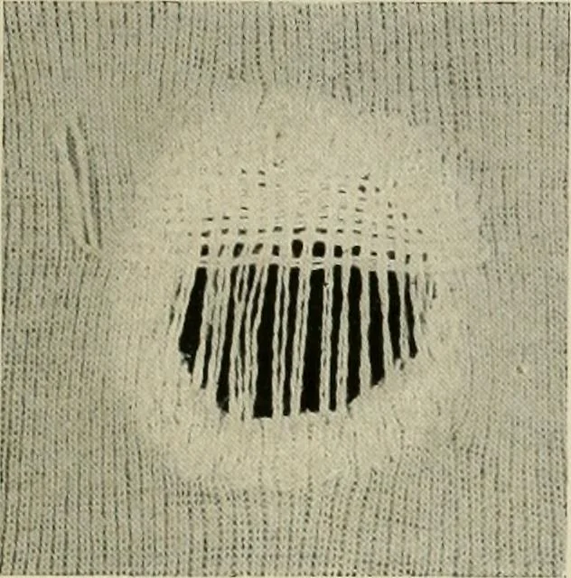 An illustration from Clark's O. N. T. book of needlework;, 1916, leaf 14