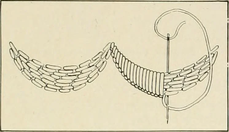 An illustration from Clark's O. N. T. book of needlework;, 1916, leaf 17