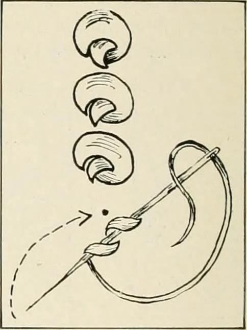 An illustration from Clark's O. N. T. book of needlework;, 1916, leaf 17