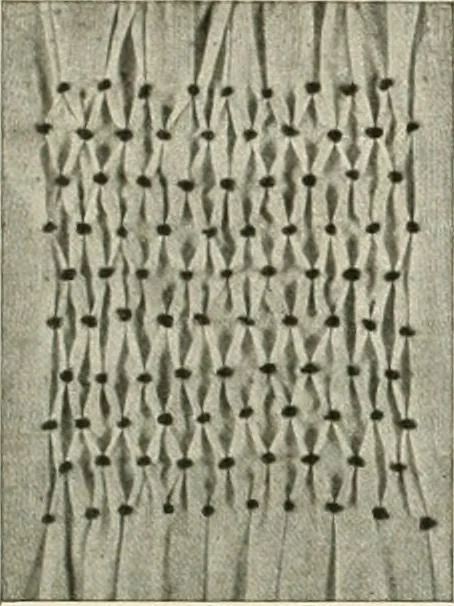 An illustration from Clark's O. N. T. book of needlework;, 1916, leaf 31