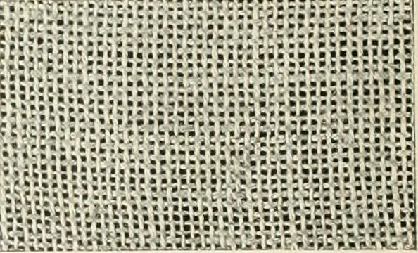 An illustration from Clark's O. N. T. book of needlework;, 1916, leaf 35