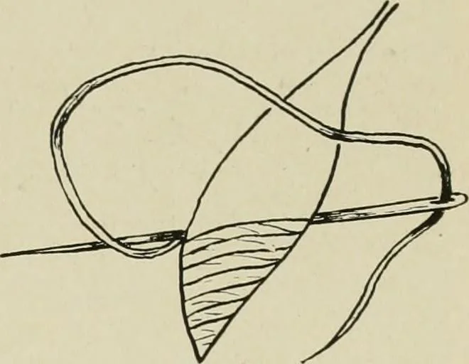An illustration from Clark's O. N. T. book of needlework;, 1916, leaf 38
