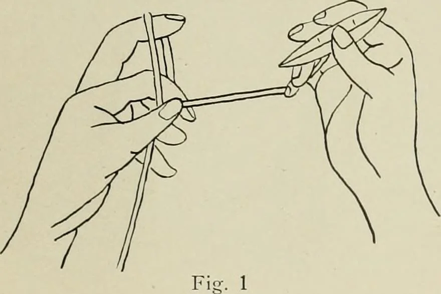 An illustration from Clark's O. N. T. book of needlework;, 1916, leaf 80