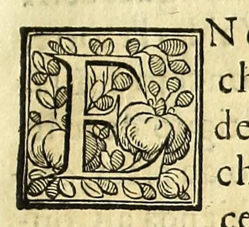 An illustration from Claro origen y descendencia ilvstre de la antigua casa de Valdès : sus varones famosos, y seruicios señalados, que han hecho a la monarquia de España : ofrecido a la magestad católica del Rey N.S. Don Felipe Quarto, 1650, leaf 41