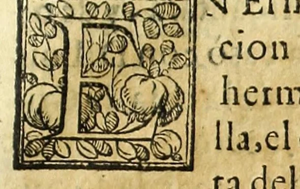 An illustration from Claro origen y descendencia ilvstre de la antigua casa de Valdès : sus varones famosos, y seruicios señalados, que han hecho a la monarquia de España : ofrecido a la magestad católica del Rey N.S. Don Felipe Quarto, 1650, leaf 77