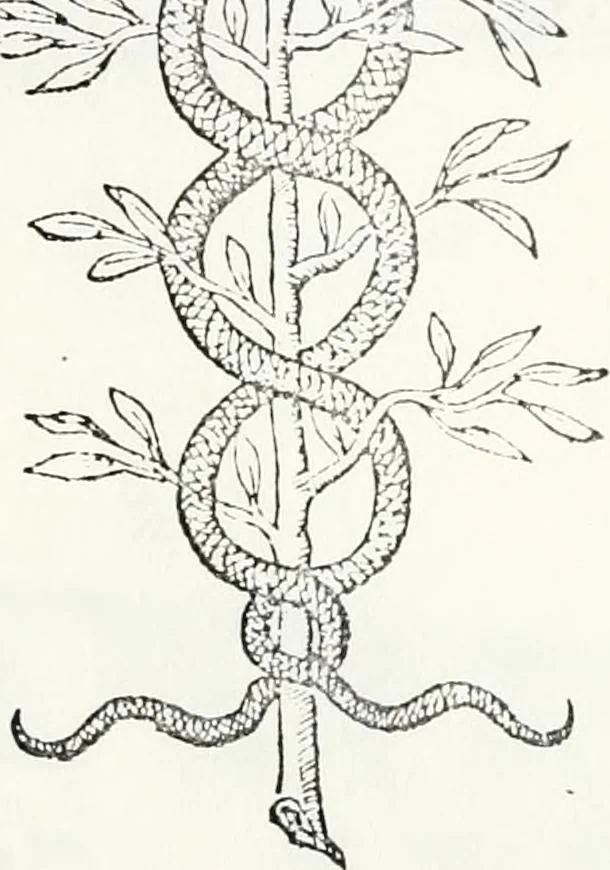 An illustration from Classed catalogue of printed books, 1901, leaf 416