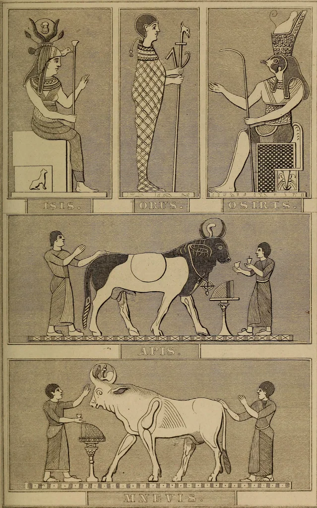 An illustration from Classical antiquities;, 1843, leaf 156