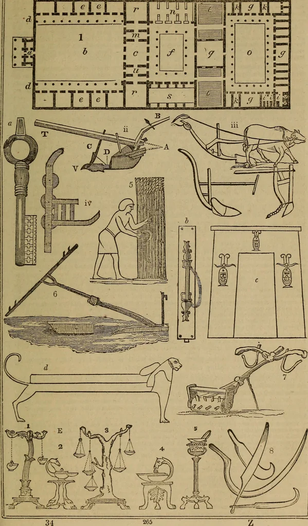 An illustration from Classical antiquities;, 1843, leaf 306