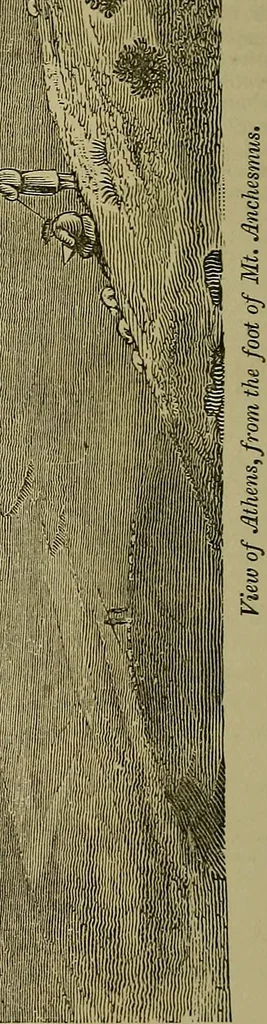 An illustration from Classical antiquities;, 1866, leaf 113