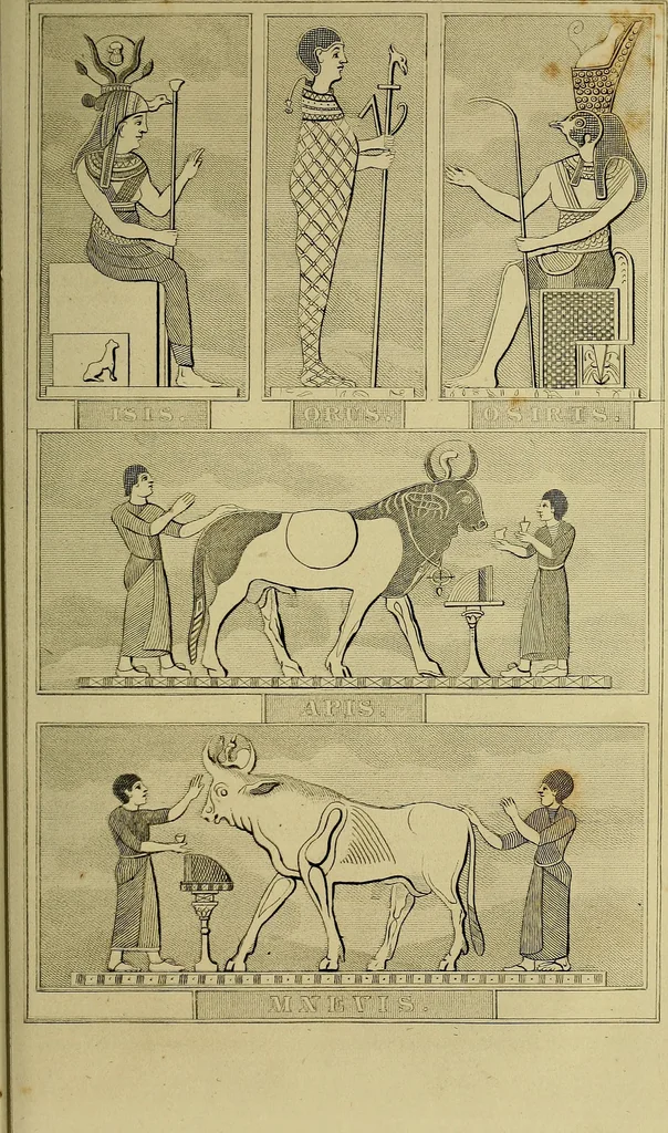 An illustration from Classical antiquities;, 1866, leaf 158