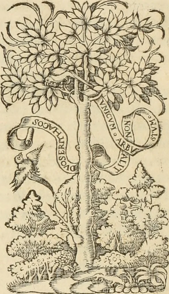 An illustration from Claudii Galeni ... Liber de plenitudine. Polybus De salubri victus ratione privatorum. Guinterio Ioanne Andernaco interprete. Apuleius Platonicus De herbarum virtutibus. Antonii Benivenii Libellus de abditis nonnullis ac mirandis morboru & sanitationum causis, 1528, leaf 131