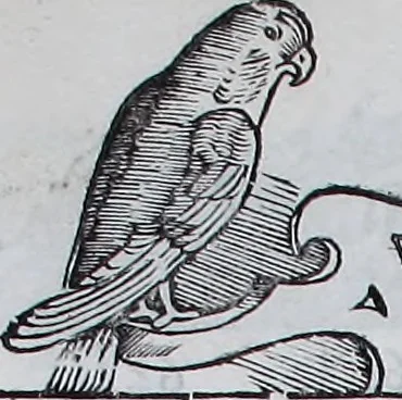 An illustration from Claudii Ptholemaei Alexandrini Liber geographiae cum tabulis et uniuersali figura : et cum additione locorum quae a recentioribus reperta sunt diligenti cura emendatus et impressus, 1511, leaf 158