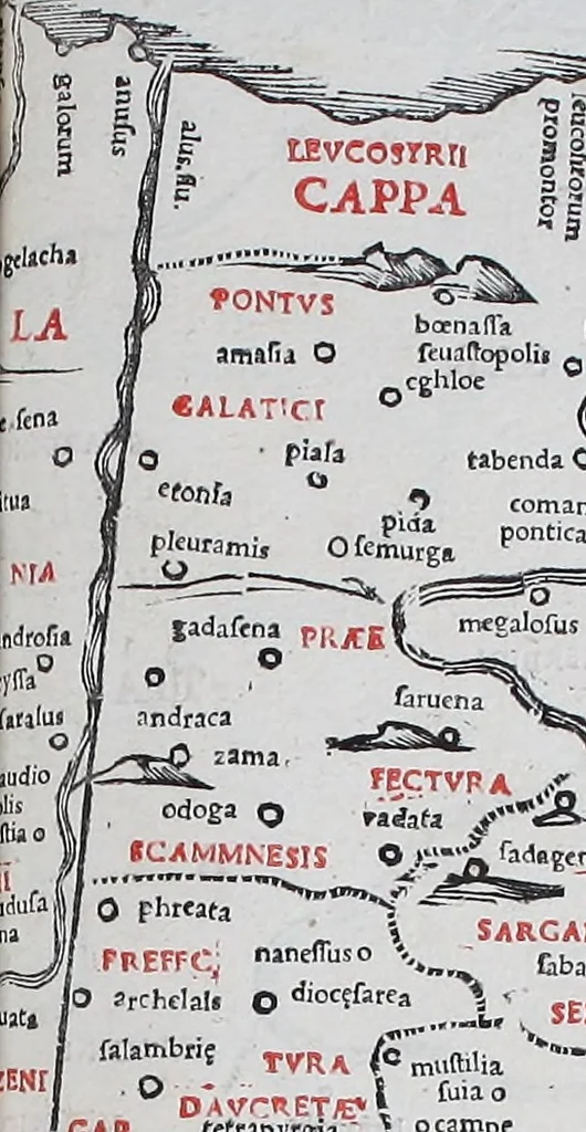 An illustration from Claudii Ptholemaei Alexandrini Liber geographiae cum tabulis et uniuersali figura : et cum additione locorum quae a recentioribus reperta sunt diligenti cura emendatus et impressus, 1511, leaf 160