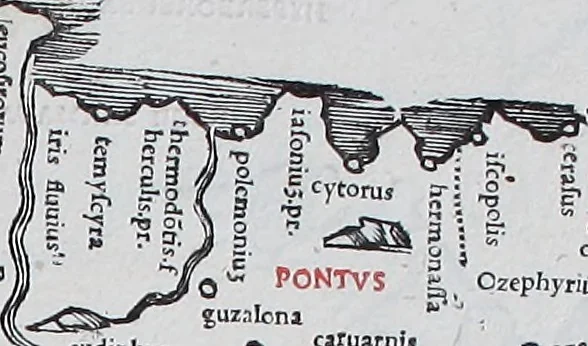 An illustration from Claudii Ptholemaei Alexandrini Liber geographiae cum tabulis et uniuersali figura : et cum additione locorum quae a recentioribus reperta sunt diligenti cura emendatus et impressus, 1511, leaf 160