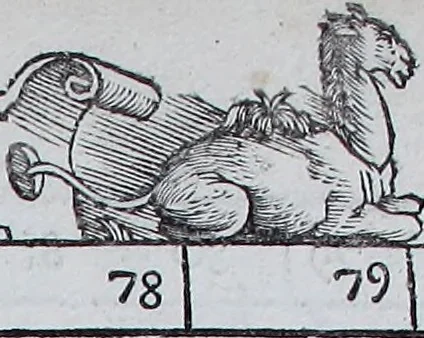 An illustration from Claudii Ptholemaei Alexandrini Liber geographiae cum tabulis et uniuersali figura : et cum additione locorum quae a recentioribus reperta sunt diligenti cura emendatus et impressus, 1511, leaf 166