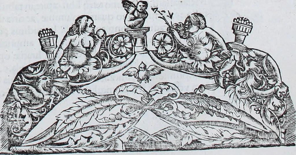An illustration from Claudii Ptolemaei Geographicae enarrationis libri octo, 1525, leaf 204