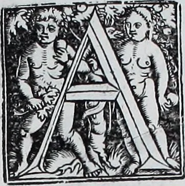 An illustration from Claudii Ptolemaei Geographicae enarrationis libri octo, 1525, leaf 206