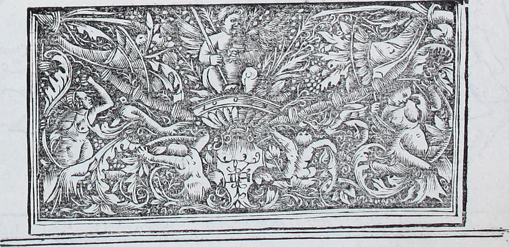 An illustration from Claudii Ptolemaei Geographicae enarrationis libri octo, 1525, leaf 300