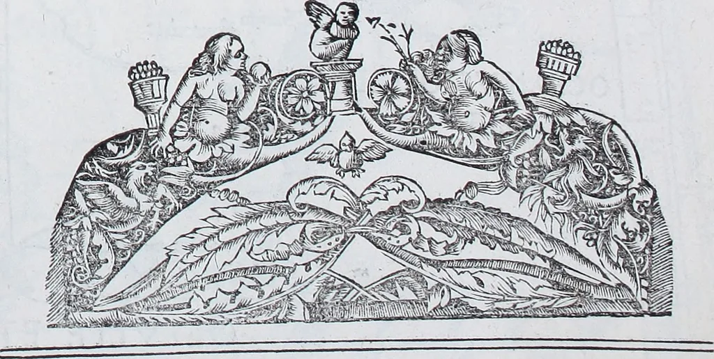 An illustration from Claudii Ptolemaei Geographicae enarrationis libri octo, 1525, leaf 312