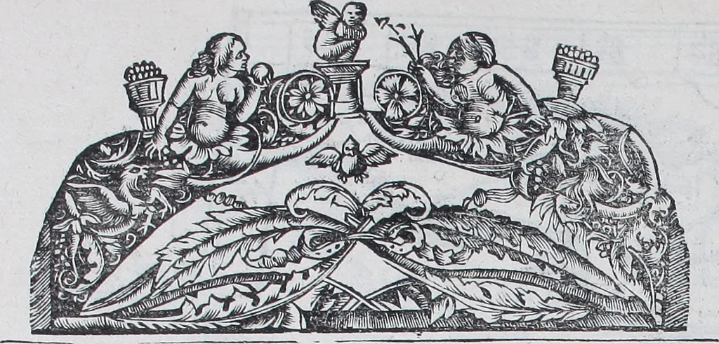 An illustration from Claudii Ptolemaei Geographicae enarrationis libri octo, 1525, leaf 339