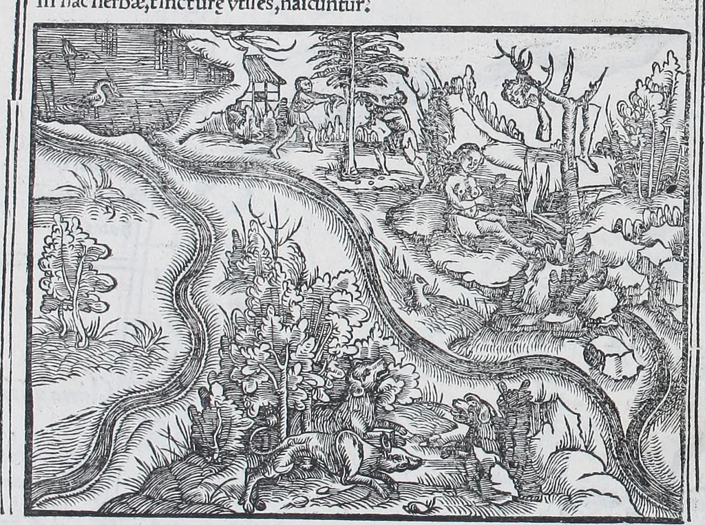 An illustration from Claudii Ptolemaei Geographicae enarrationis libri octo, 1525, leaf 339