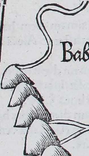 An illustration from Claudii Ptolemaei Geographicae enarrationis libri octo, 1525, leaf 346