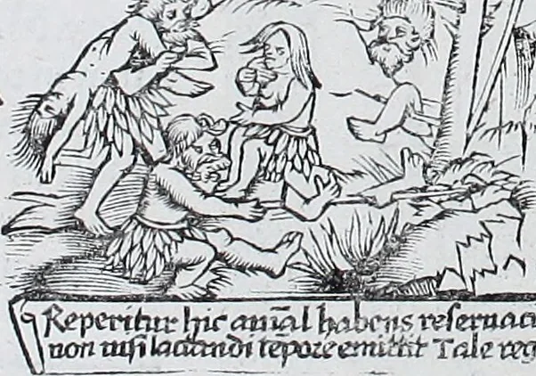 An illustration from Claudii Ptolemaei Geographicae enarrationis libri octo, 1525, leaf 382