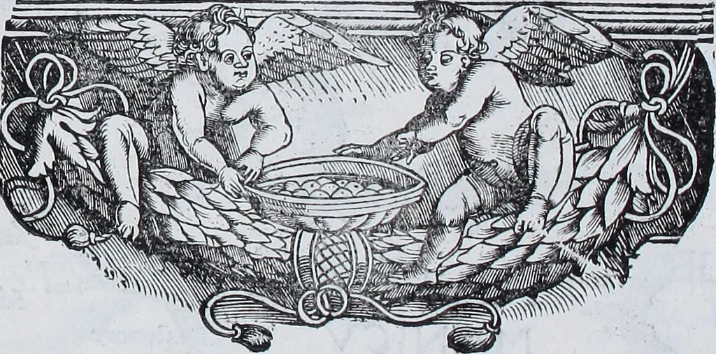 An illustration from Claudii Ptolemaei Geographicae enarrationis libri octo, 1525, leaf 404